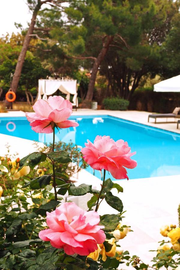Villa Oasis With Large Pool Athenian Riviera Lagonissi Lagonisi Dış mekan fotoğraf