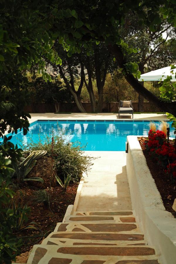 Villa Oasis With Large Pool Athenian Riviera Lagonissi Lagonisi Dış mekan fotoğraf