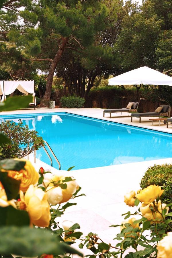 Villa Oasis With Large Pool Athenian Riviera Lagonissi Lagonisi Dış mekan fotoğraf