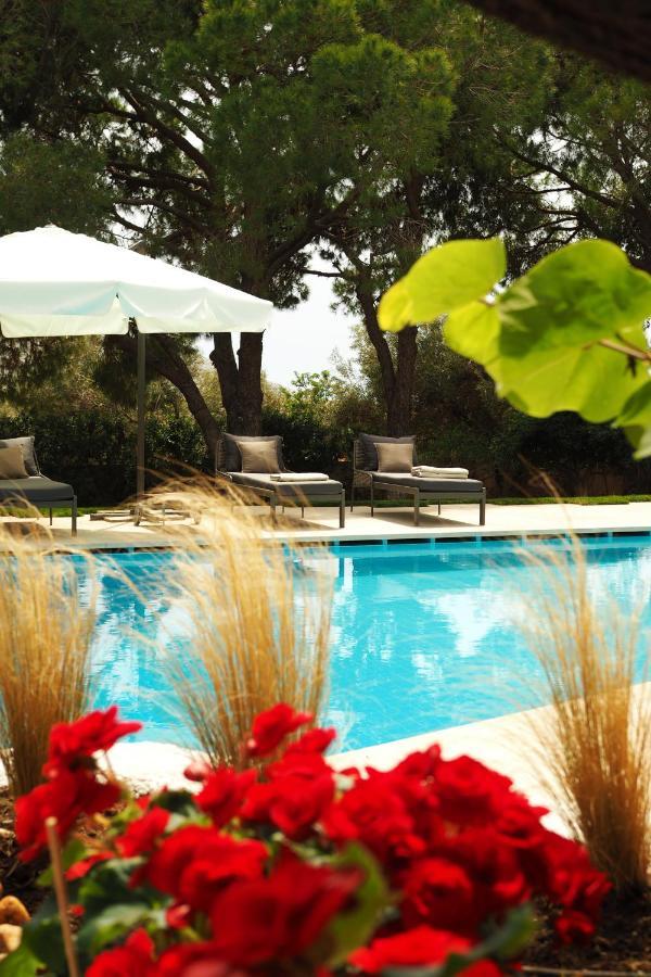Villa Oasis With Large Pool Athenian Riviera Lagonissi Lagonisi Dış mekan fotoğraf