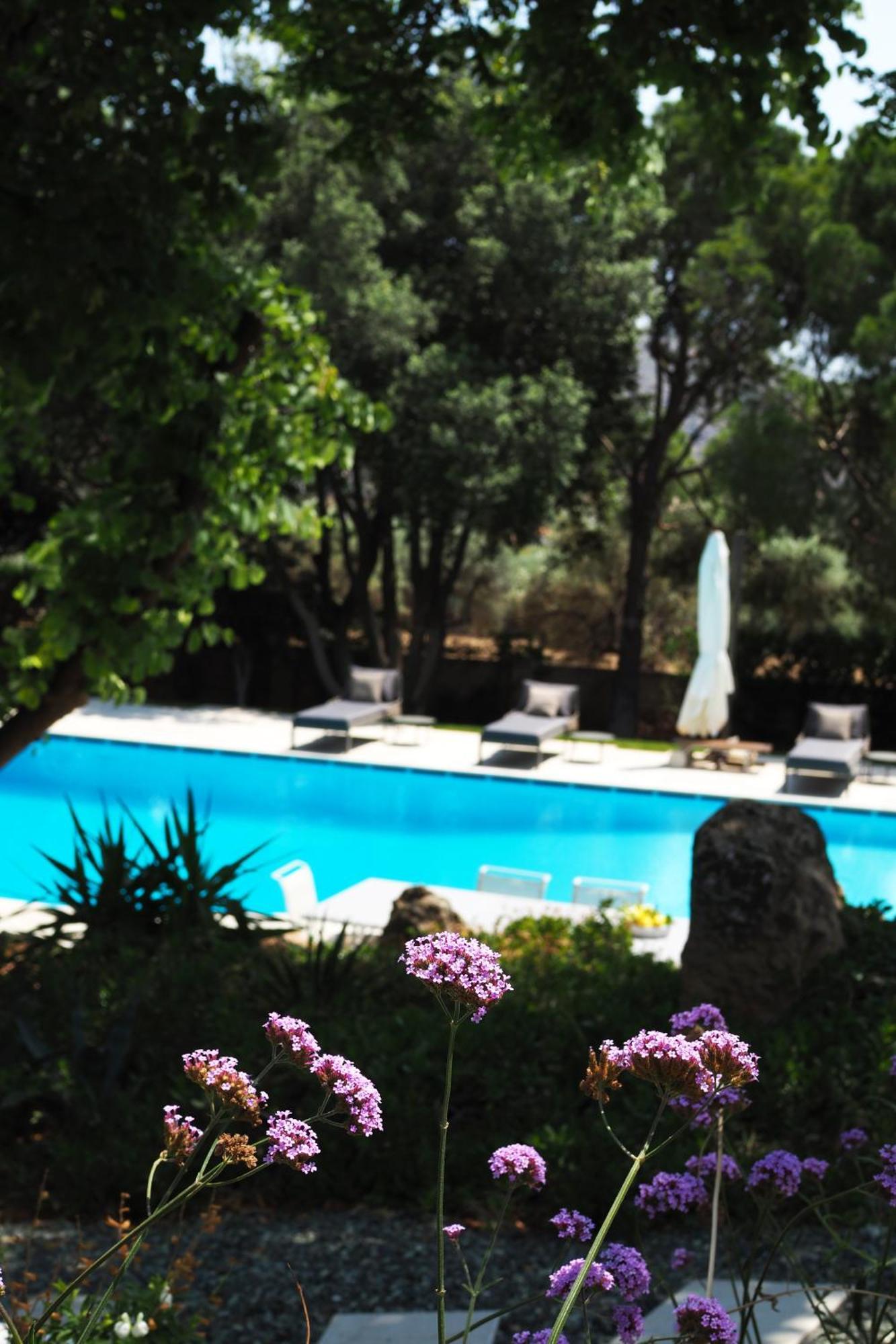 Villa Oasis With Large Pool Athenian Riviera Lagonissi Lagonisi Dış mekan fotoğraf